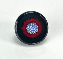 Load image into Gallery viewer, Fountain Cap Collector Set