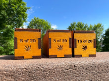 Load image into Gallery viewer, Collector's Series 3-Hole Onie